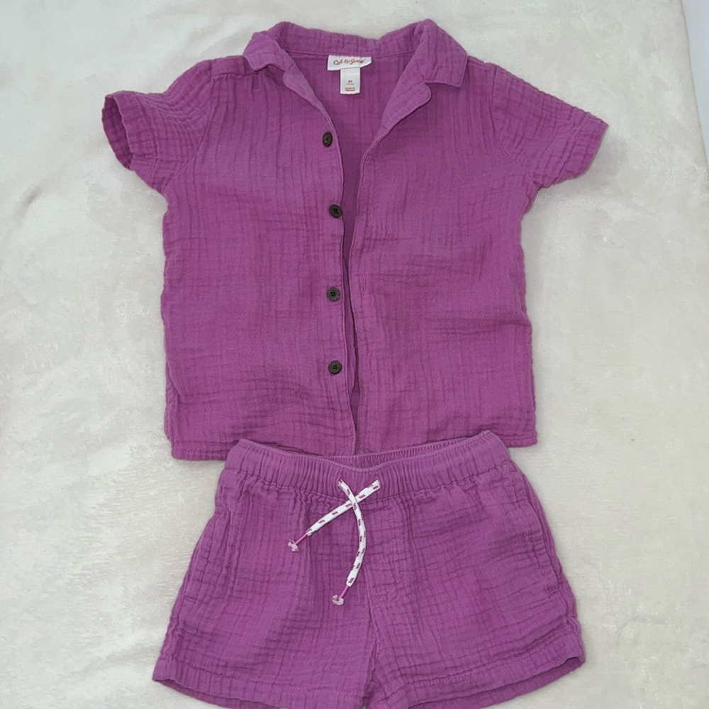 Cat & Jack girls set